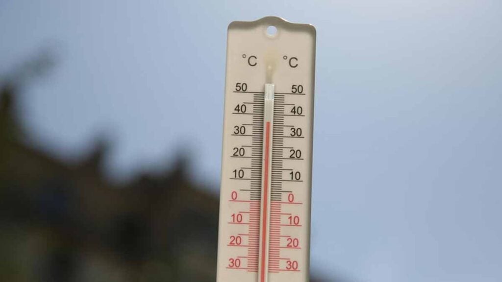 canicule