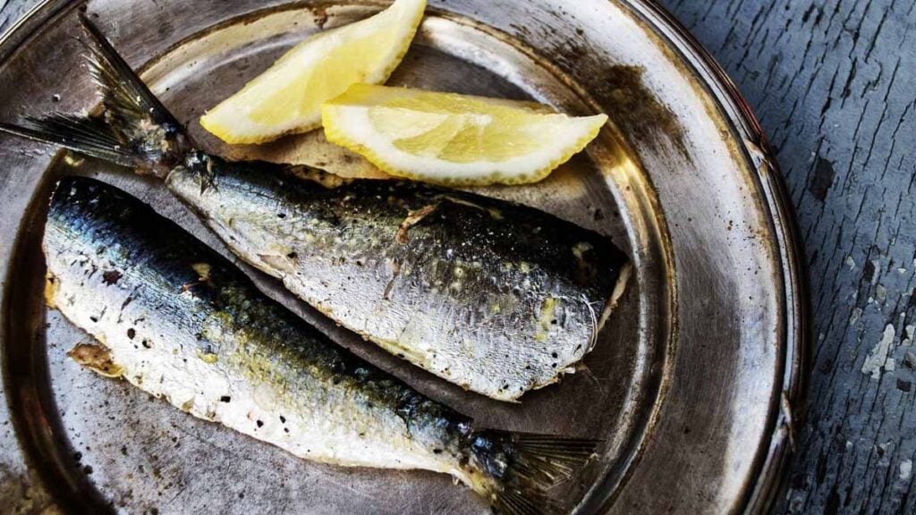 sardines
