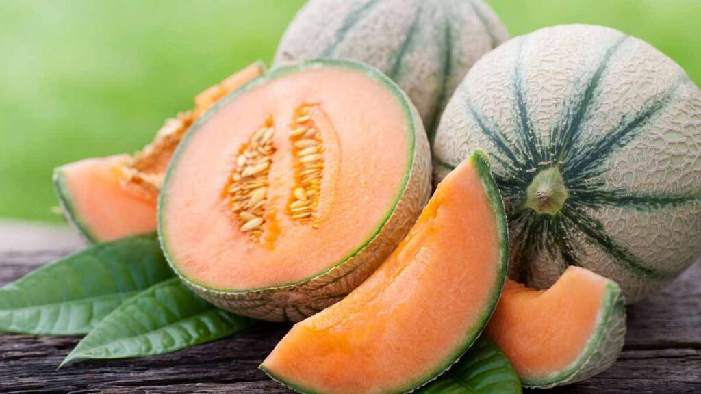 melon
